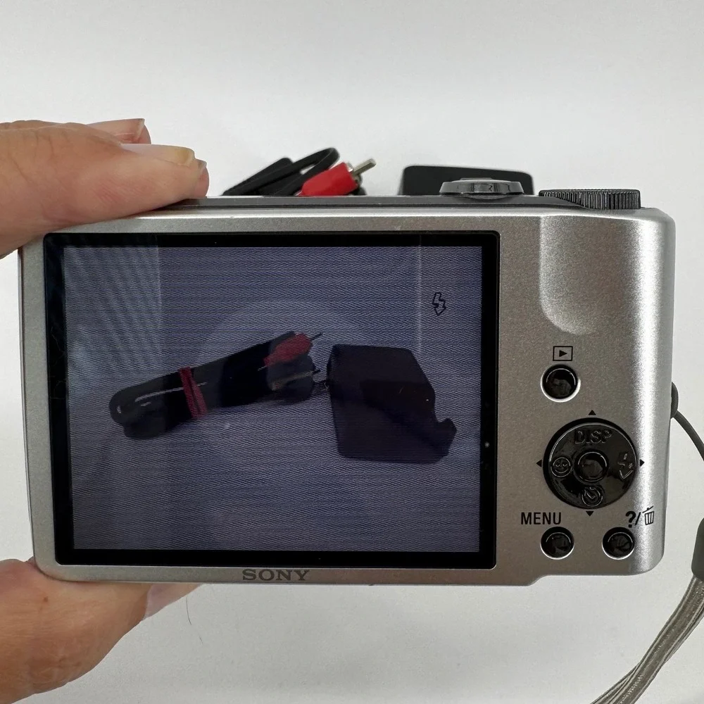 Sony Cyber-shot DSC-H70 16.1MP Digital Camera 10x Zoom Silver Battery Charger